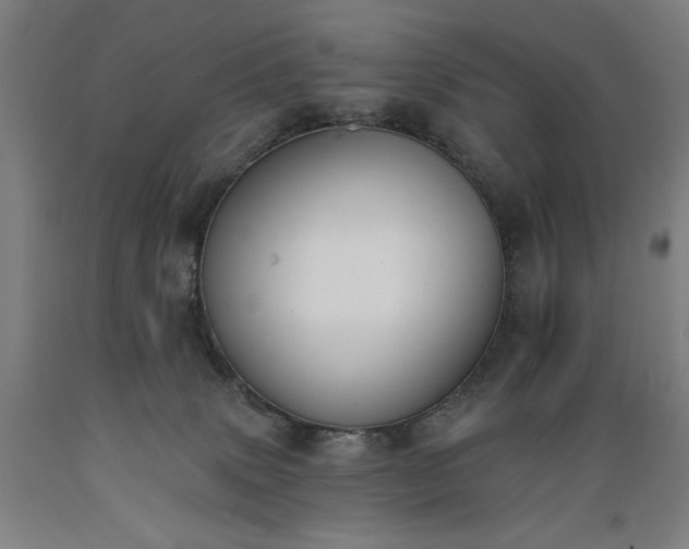 X0000089390083200706221327