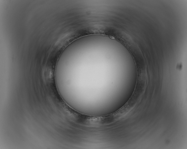 X0000089390084200706221327