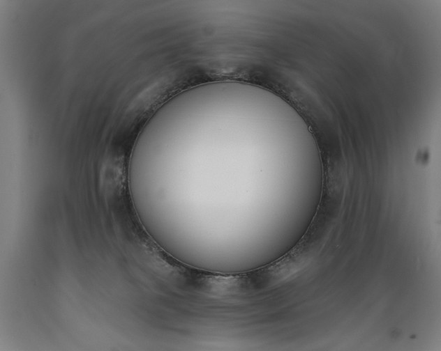 X0000089390085200706221328