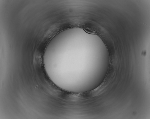 X0000089390086200706221328