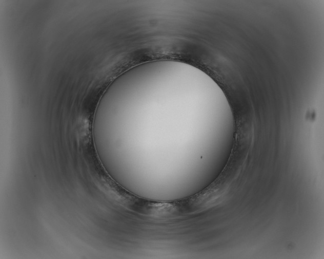 X0000089390087200706221328