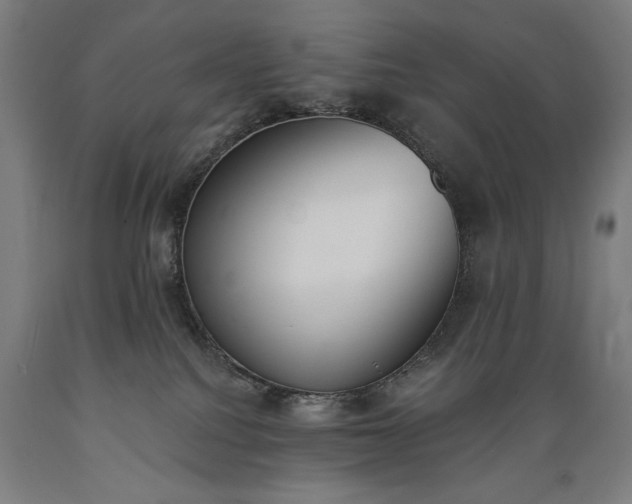 X0000089390088200706221328