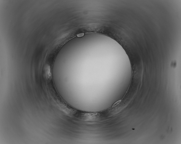 X0000089390089200706221328