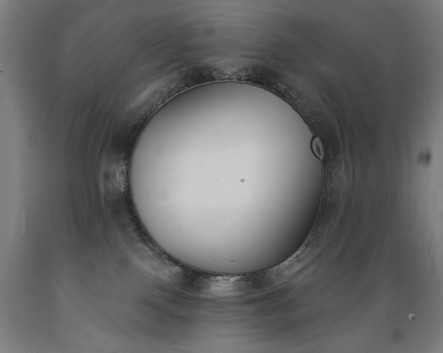X0000089390090200706221328