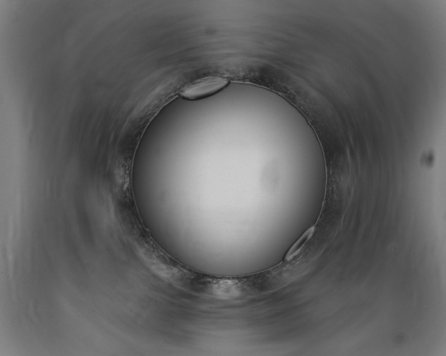 X0000089390091200706221328