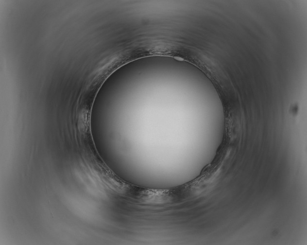 X0000089390093200706221328
