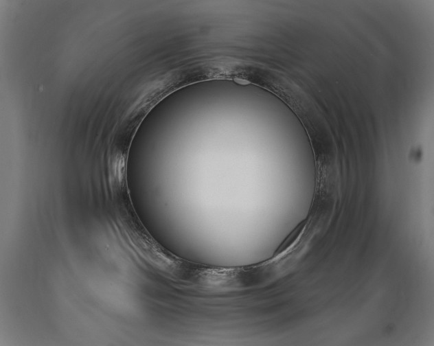 X0000089390094200706221328