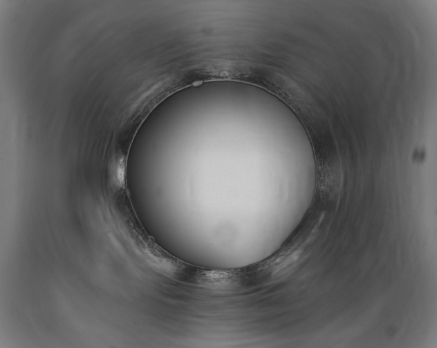 X0000089390095200706221328
