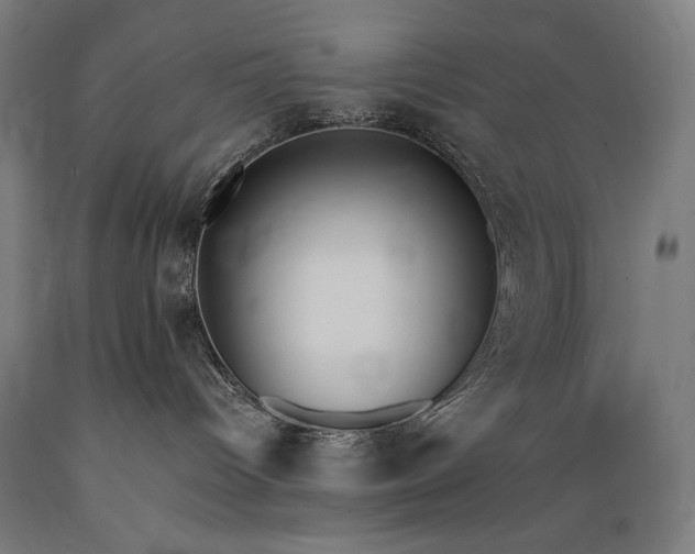 X0000089390096200706221328