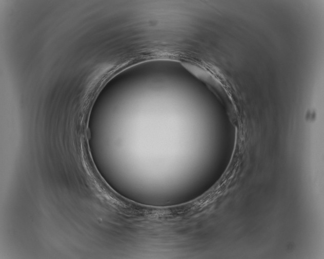 X0000089390097200706221327