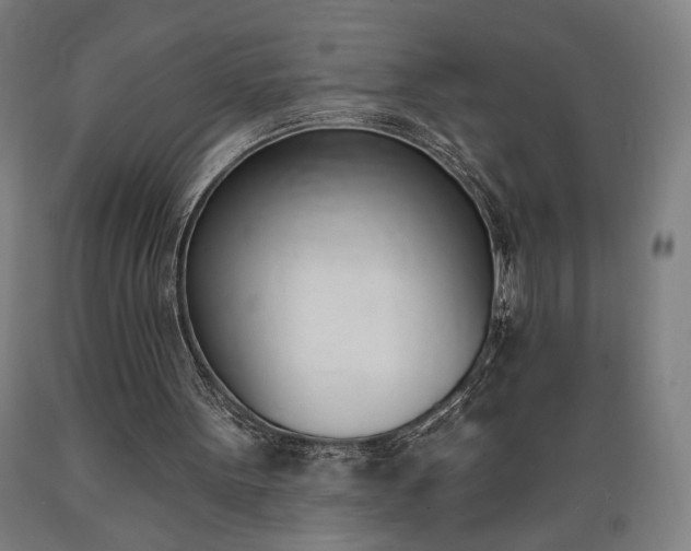X0000089390099200706221327