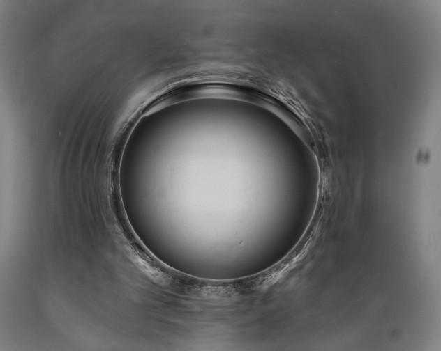 X0000089390101200706221327