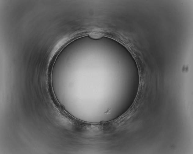 X0000089390102200706221327