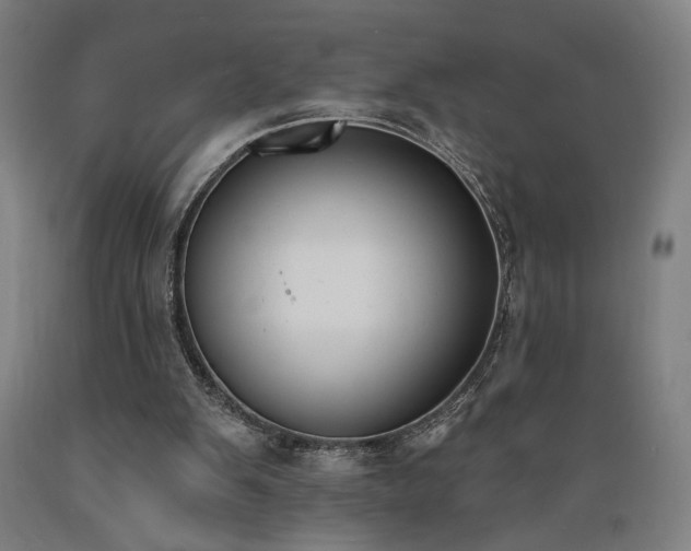 X0000089390103200706221327