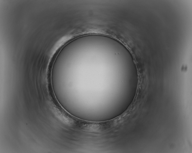 X0000089390104200706221327