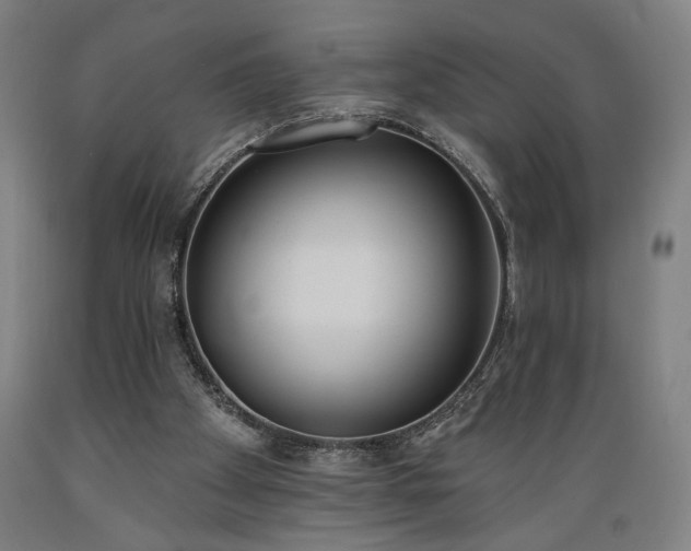 X0000089390105200706221327