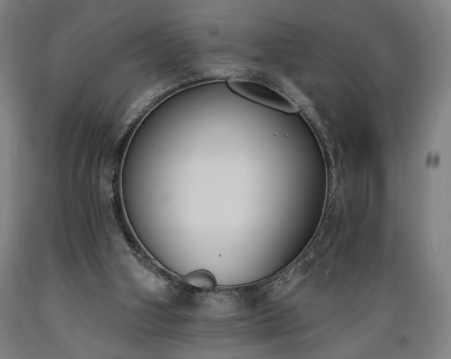 X0000089390106200706221327