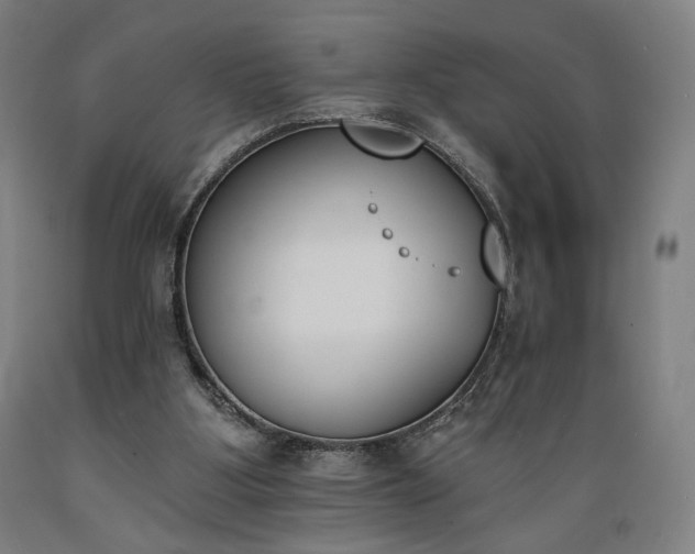 X0000089390107200706221327
