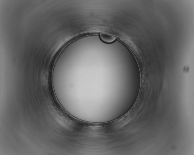 X0000089390108200706221327
