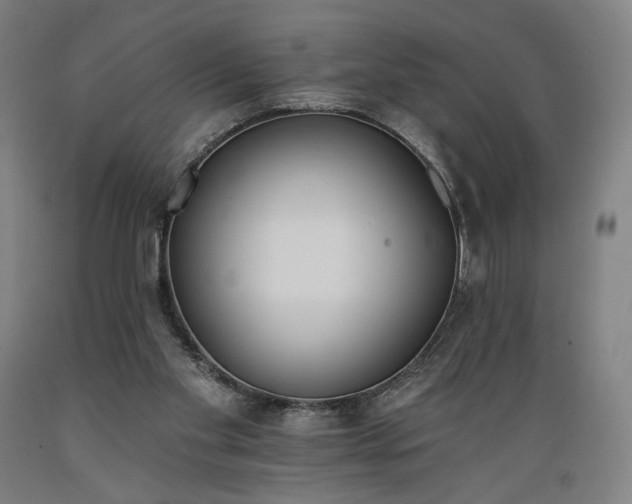 X0000089390109200706221327
