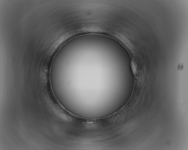 X0000089390111200706221327