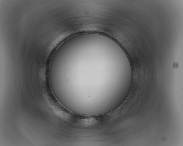 X0000089390112200706221327