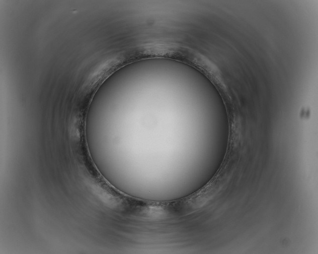 X0000089390114200706221327