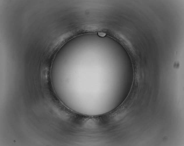 X0000089390115200706221327
