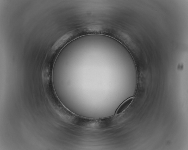 X0000089390116200706221327