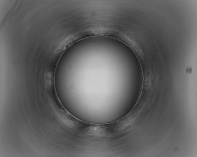X0000089390117200706221327