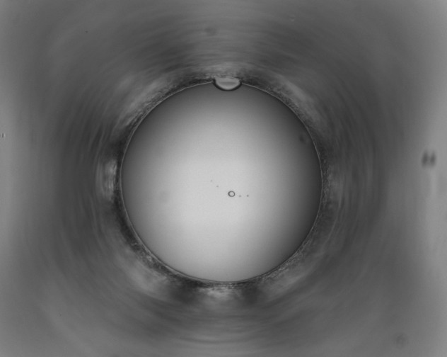 X0000089390118200706221327
