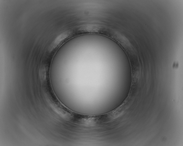 X0000089390120200706221327