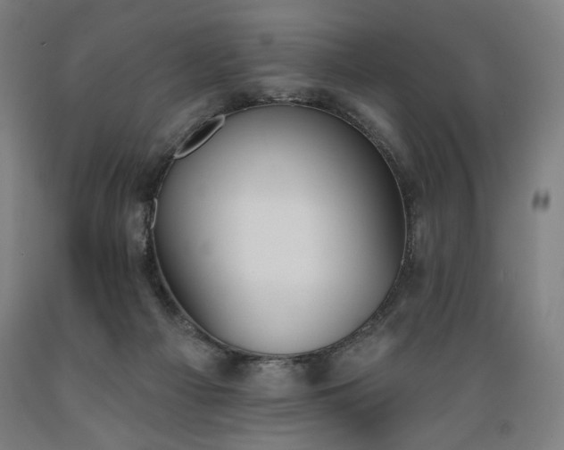 X0000089390121200706221327