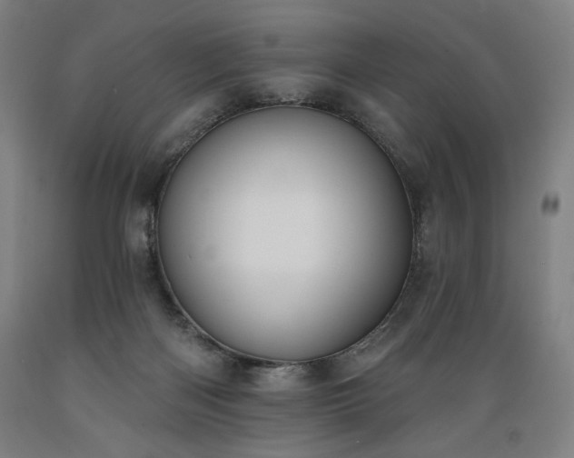 X0000089390122200706221327