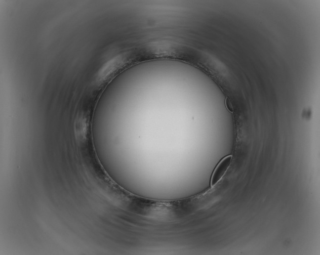 X0000089390124200706221327