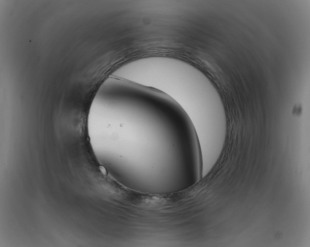 X0000089390125200706221327