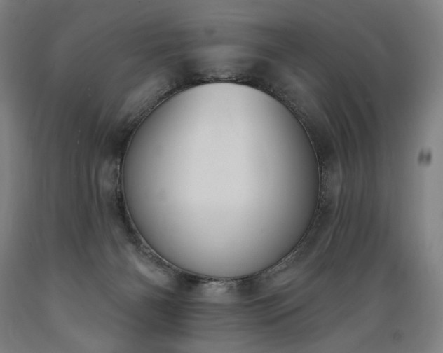 X0000089390126200706221327