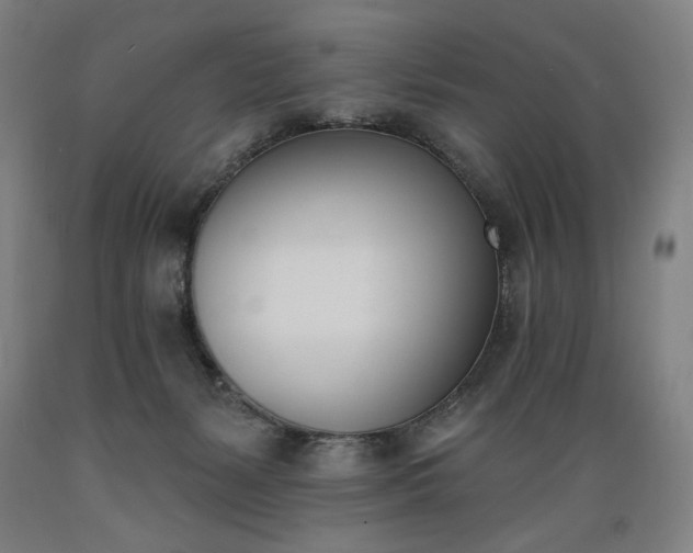 X0000089390127200706221327
