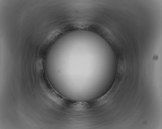 X0000089390128200706221327