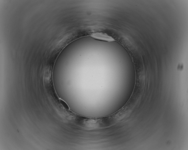 X0000089390129200706221327