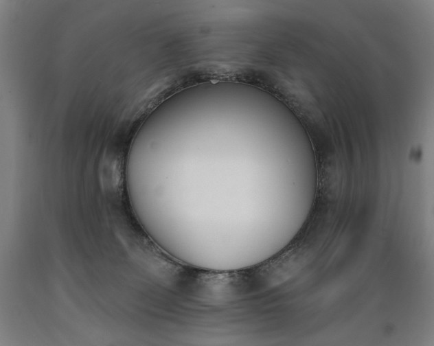 X0000089390131200706221327