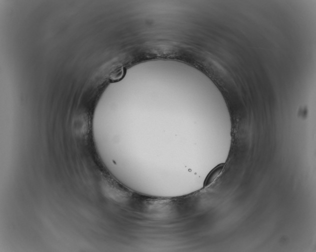 X0000089390132200706221326