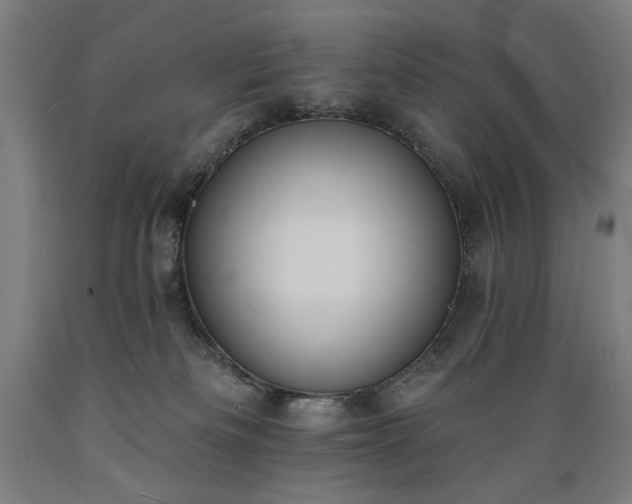 X0000089390133200706221326