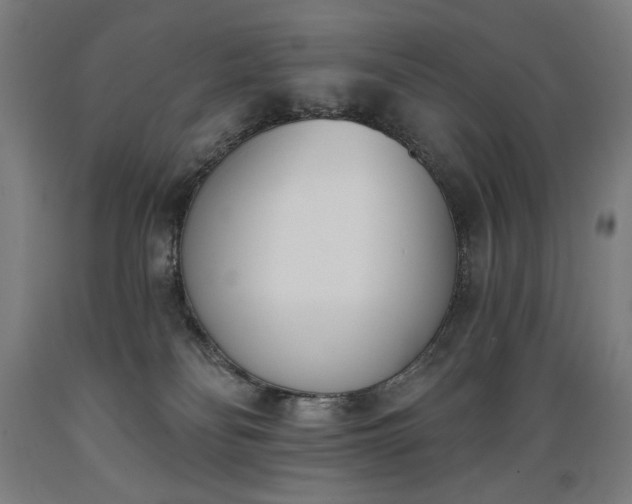 X0000089390134200706221326