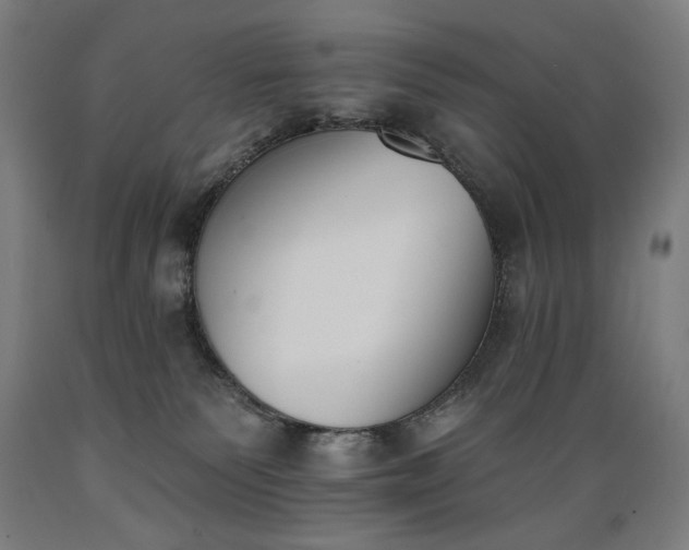 X0000089390135200706221326