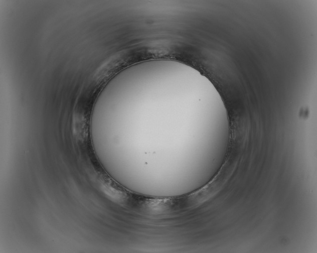 X0000089390136200706221326