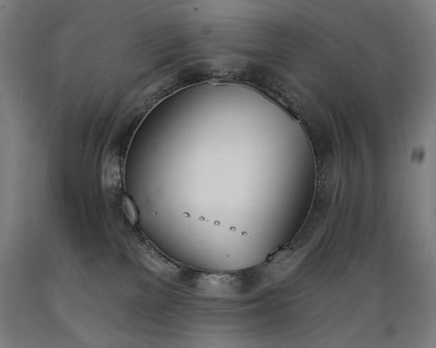 X0000089390137200706221326
