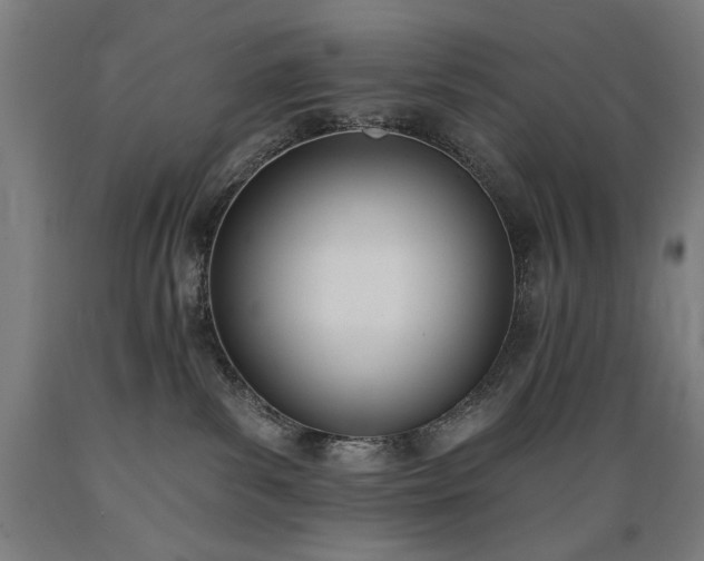 X0000089390139200706221326