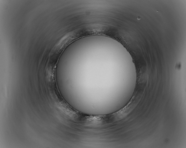 X0000089390140200706221326