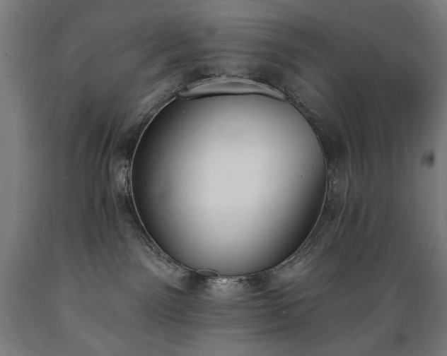X0000089390141200706221326